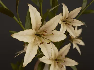 Bouquet with Lilies - PBR Game Ready Low-poly 3D model