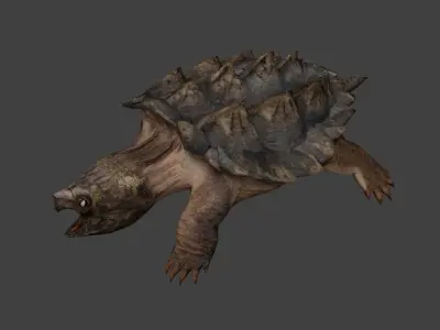 Alligator snapping turtle 3D model