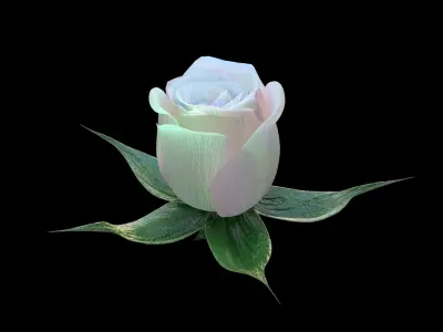 Rose opening animation Glowing Flower Blooming Rose 3D model