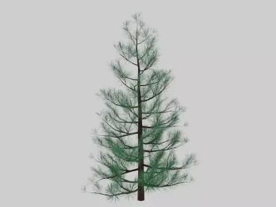 christmas tree model Free low-poly 3D model