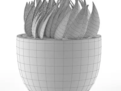 House Plant 24 3D model