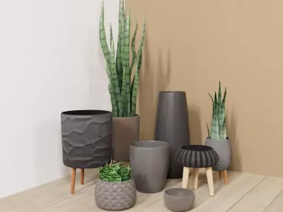 Vases pots and 3 snake plants set 3D model  3D model