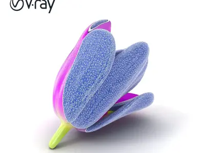 Purple Tulip Petals Detailed 3D Model Pack Low-poly 3D model