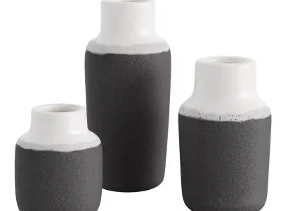 Two Toned Vase Set Of 3 3D model