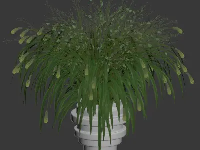 Bouquet of grass with knobs 3D model