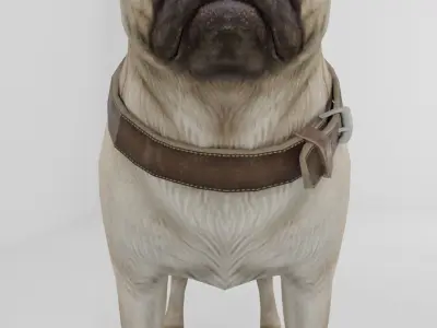 Dog Pug Pack Low-poly 3D model Low-poly 3D model