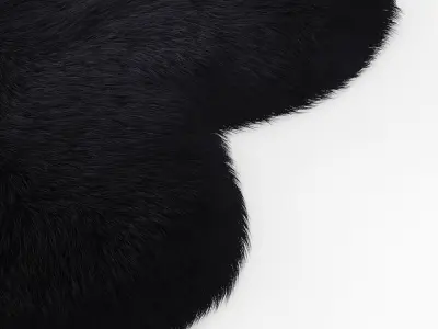 Forsyth Sheepskin Rug Black 3D model
