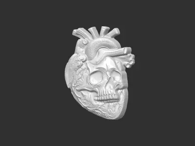  Anatomical Heart Skull 3D Model for CNC Carving and 3D Printing 3D print model