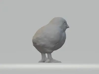 Chick bird 3D print model
