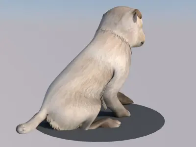 Puppy dog animations Low-poly 3D model