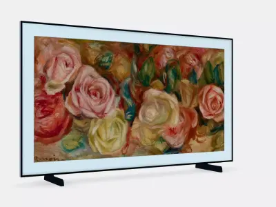 65 The Frame LS03D 5 3D model