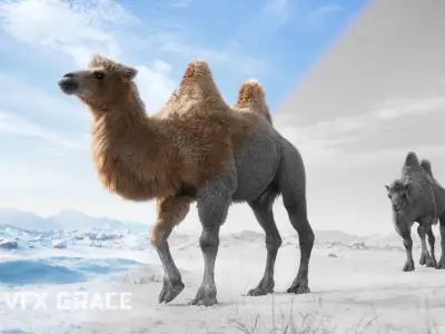 Bactrian Camel Rigged VFX Grace 3D model