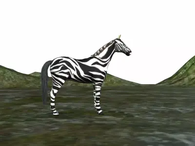 Zebra 3d Fully Rigged  3D model