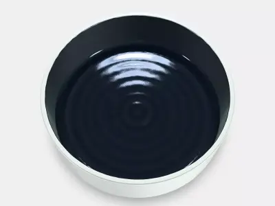 OMBONAD Bowl 3D model