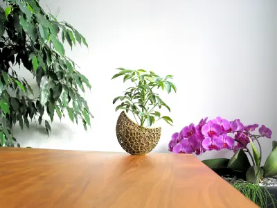 A 2-part burgeoning capsule Planter 3D print model