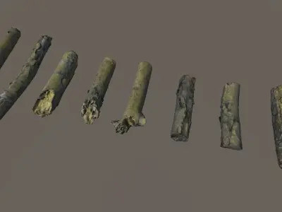Scanned Branches Low-poly 3D model