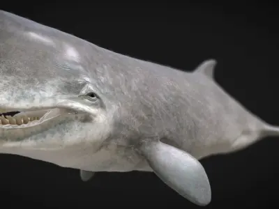 Livyatan Low-poly 3D model