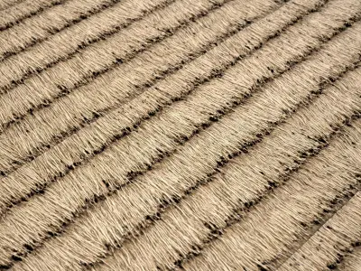Thatched Roof Material Pack Vol 01 Texture