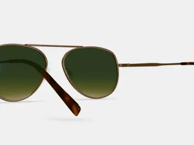 Belmar Sunglasses in Polished Gold 3D model