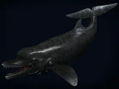 Acrophyseter whale Low-poly 3D model