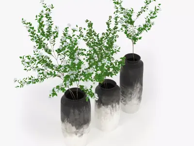 Branch three vases with plants 3D model