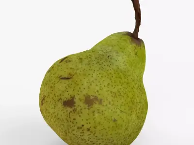 Photorealistic 3D scan of pear Low-poly 3D model