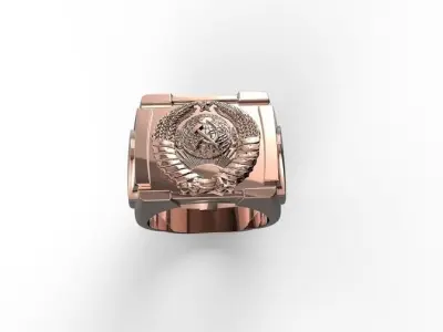ring sssr Free 3D print model