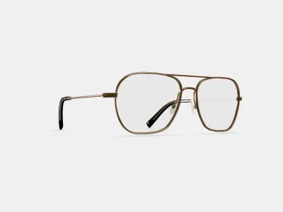 Abe Eyeglasses in Polished Gold 3D model