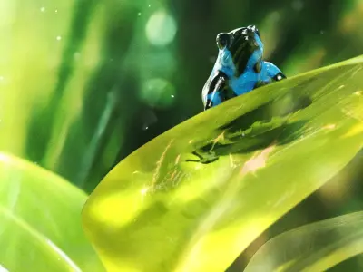 Dart Frog Low-poly 3D model