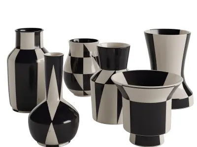Black and white vase collection
