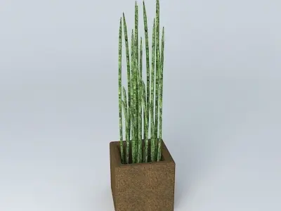Little plant - Mini Vase Free 3D model
