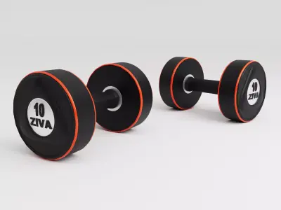 Dumbbells two 3D model