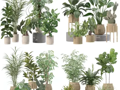 20 Photorealistic Flowers for Interiors - set 202 206 210 214 3D Model Collection