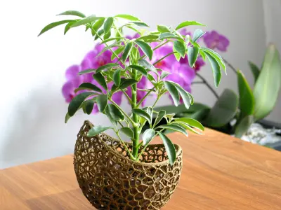 A 2-part burgeoning capsule Planter 3D print model
