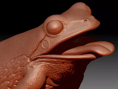 American Tree Frog 3D model