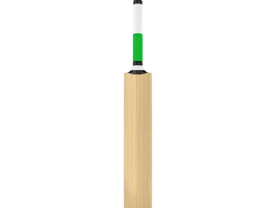 Cricket Bat 3D model