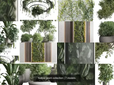 Indoor plant collection