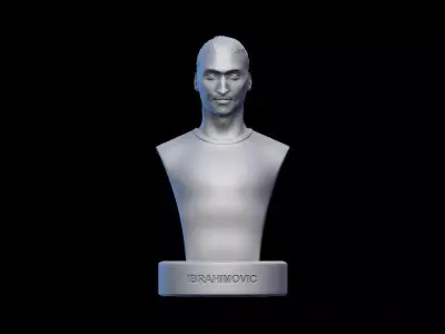 Zlatan Ibrahimovic Bust model 3D print model