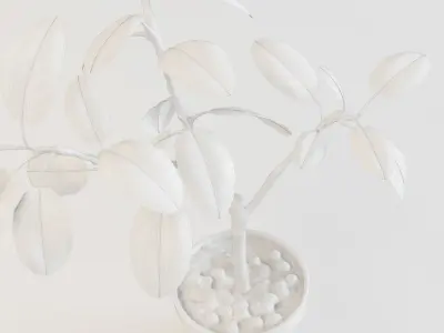 Ficus altissima 3D model