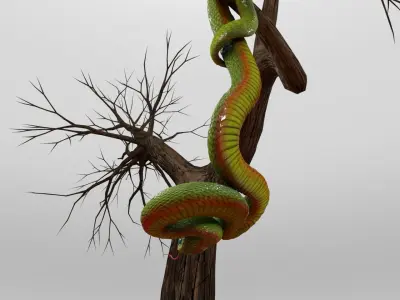 Viper Snake 3D model
