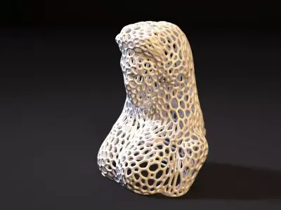 Young woman Voronoi 3D print model