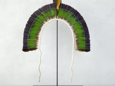 20th Century Brazilian Tribal Feather Headdress 3D model