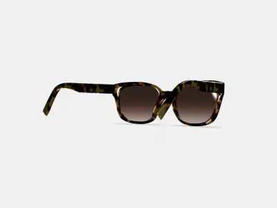 Aubrey Low Bridge Fit Sunglasses in Marzipan Tortoise 3D model