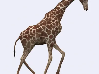 3DRT - Giraffe Low-poly 3D model