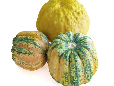 Decorative Pumpkins 3D model