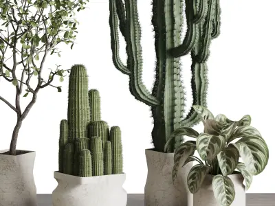 Indoor plant 458 pot plant cactus tree bush in old concrete vase 3D model