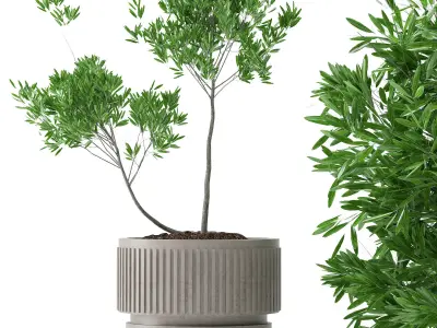 indoor plants 22 3D model
