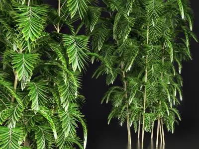 Garden set bush and Tree Set05 3D model