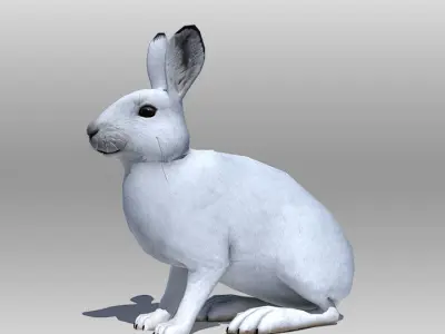 Rabbit or Hair Low-poly 3D model