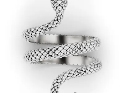 Serpent Coil Ring 3D print model